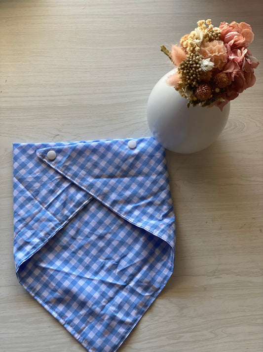 Blue Gingham